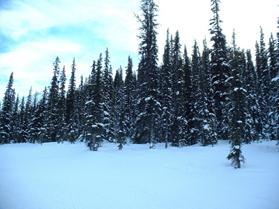 On the way out of Lake Louise 1.JPG